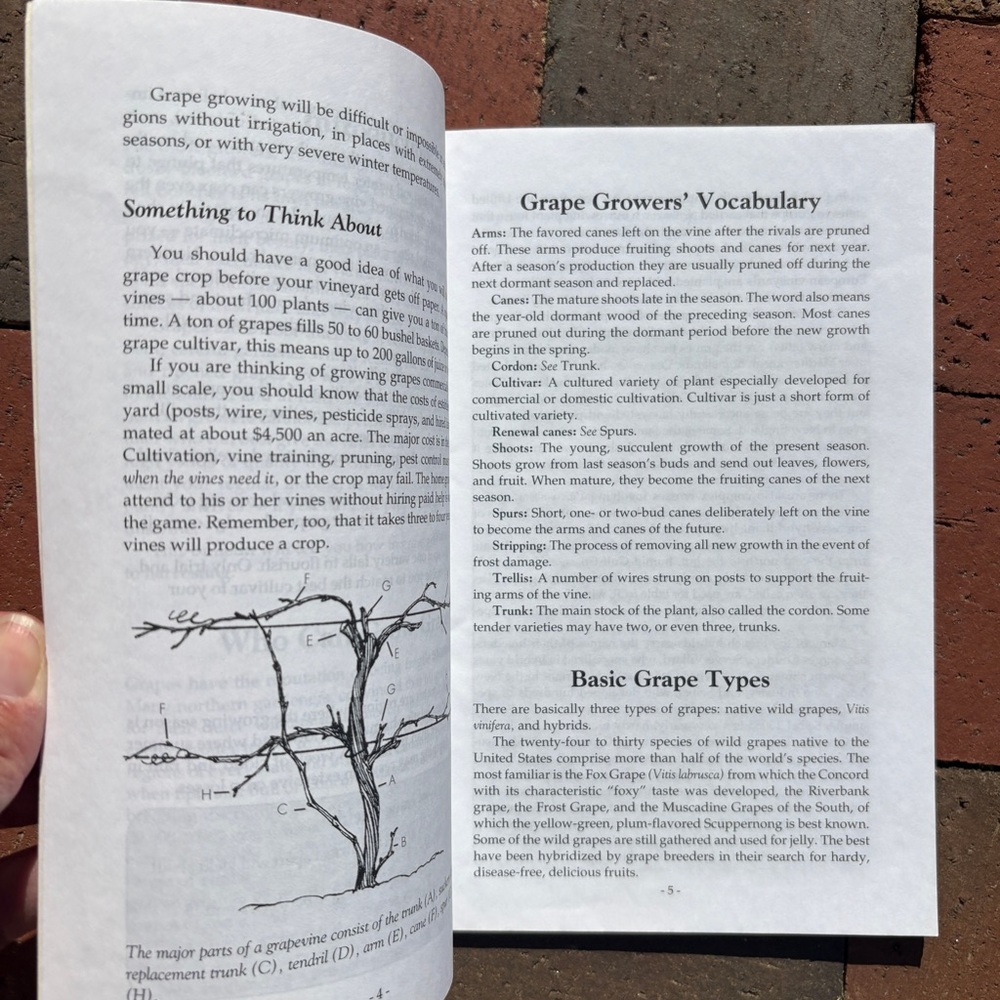 1980 Great Grapes Grow the Best Ever Arbor Gardener Vineyard Wine Juice DIY - Picture 3 of 6